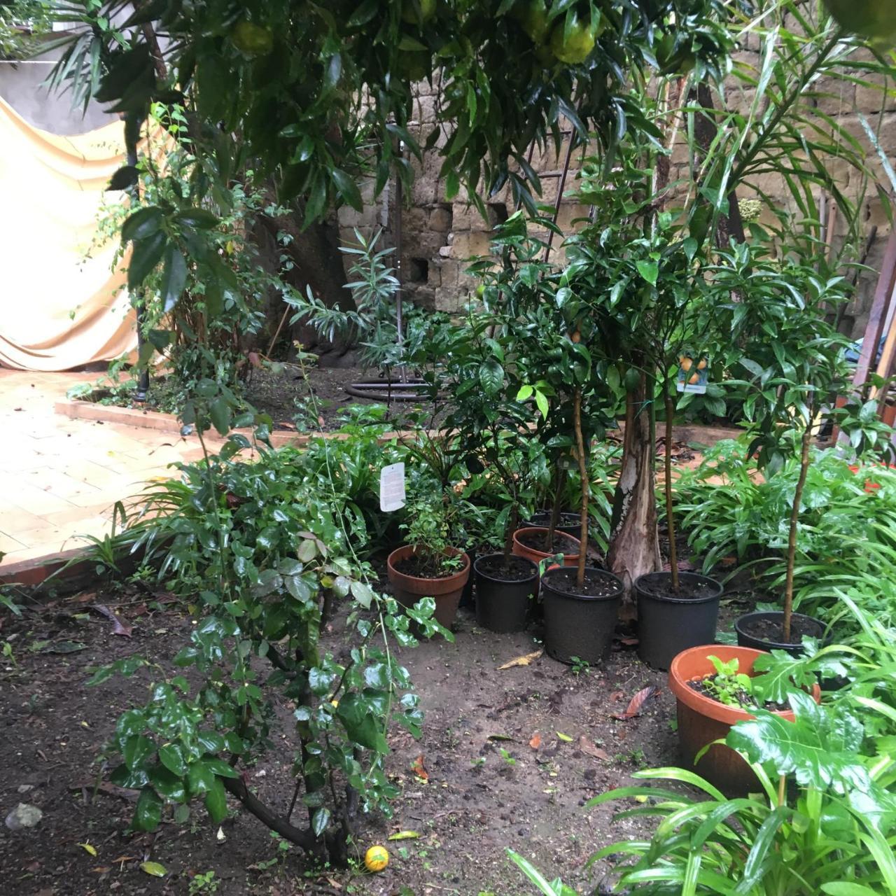 Bed and Breakfast Il Giardino Di Daphne Neapol Zewnętrze zdjęcie